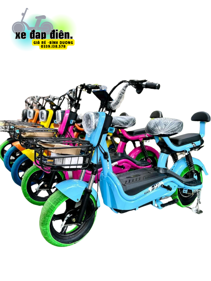 xe đạp điện X4 new beer