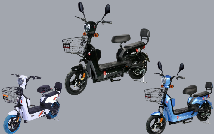 Xe đạp điện Sk8