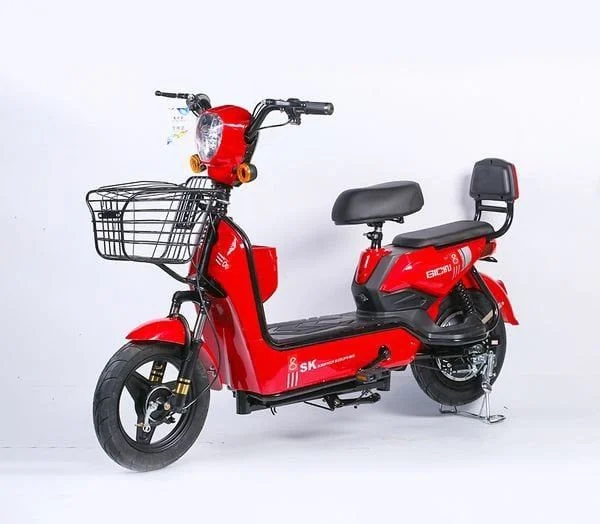 Xe đạp điện Sk8