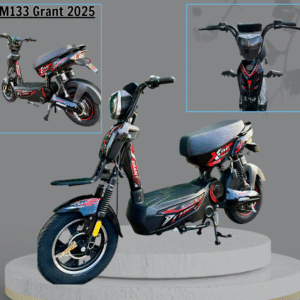 M133 GRANT 2025