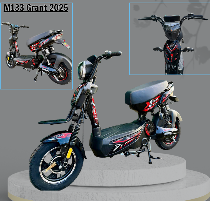 M133 GRANT 2025